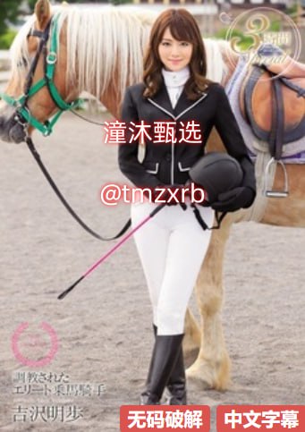 泽村レイコメイリン モデルコレクション メ插妹子av高清在线观看